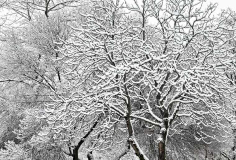 Bloomberg: Європа готується до значного зниження температури