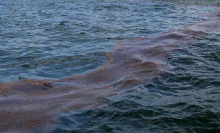 Oil spill moves along the Crimean coast towards Yalta - Media