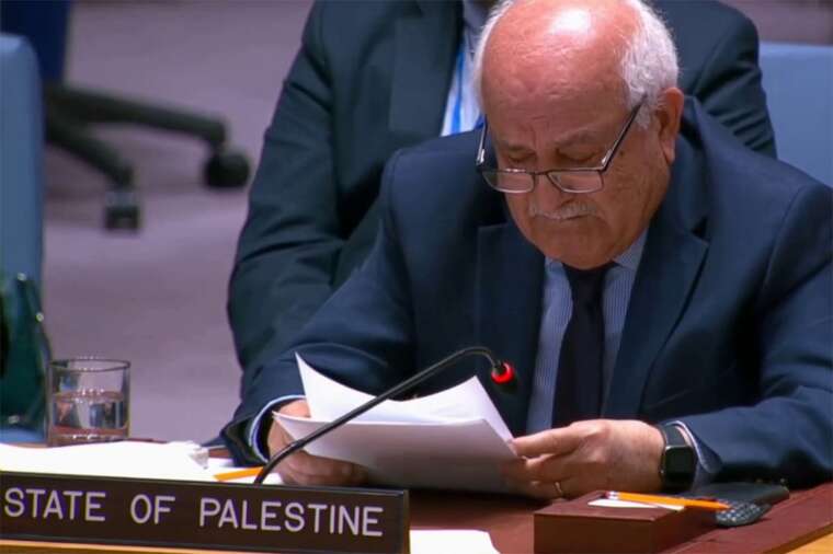 Постійний спостерігач Палестини при ООН заплакав на засіданні Радбезу