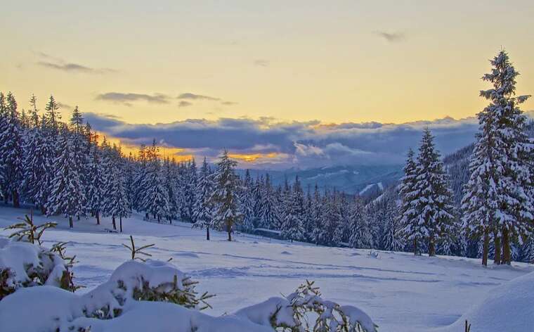 Чоловік із групою втік з України через гори: відео показали у соцмережах