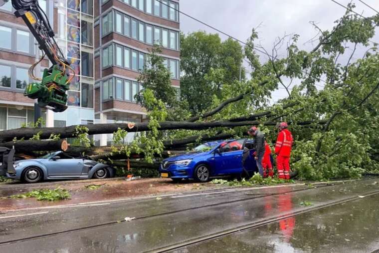 У Нідерландах потужний вітер наробив лиха: зірвані паркани та повалені дерева