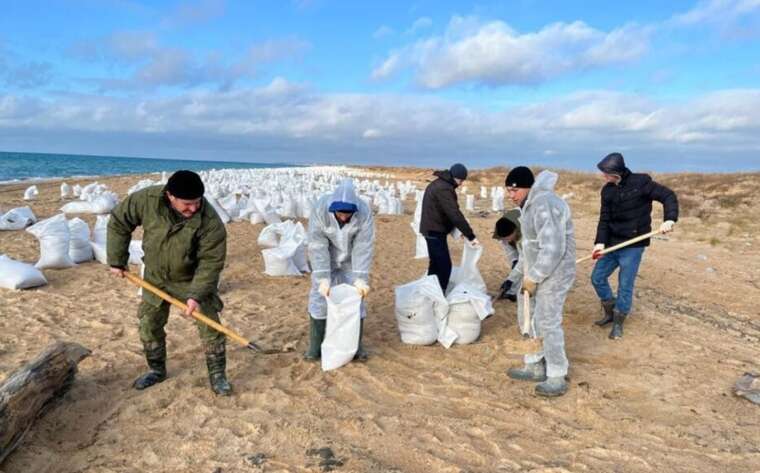 В оккупированном Крыму после аварии танкеров РФ обнаружили новые случаи загрязнения мазутом