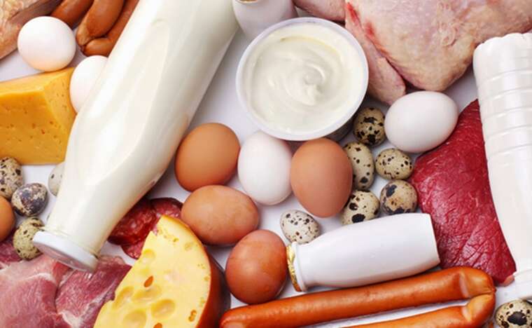 Ліван збільшить імпорт української м’ясо-молочної продукції