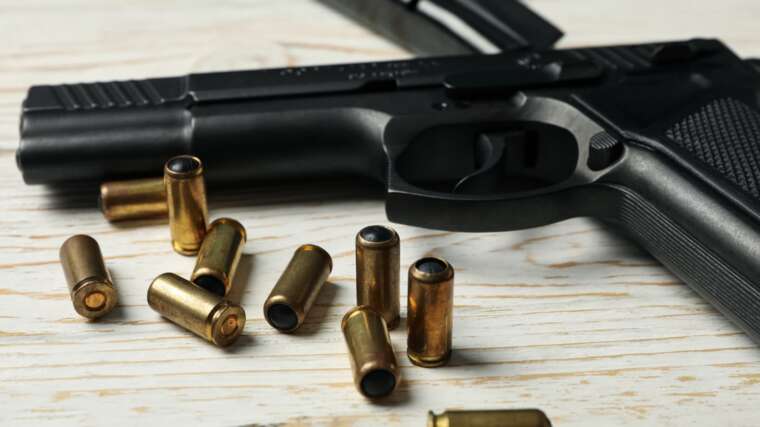 Українці вже задекларували 2500 тисячі одиниць вогнепальної зброї, - НПУ