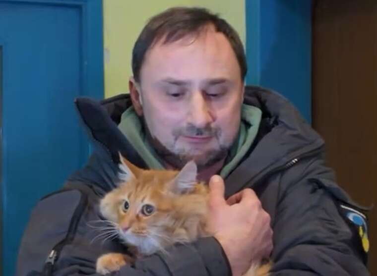 Кіт провів шість днів зачиненим у квартирі, оскільки його власника затримали представники ТЦК