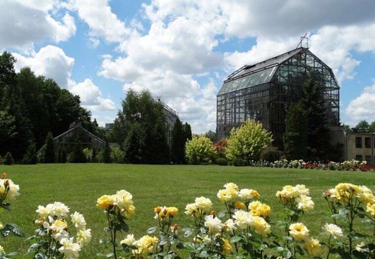 Попри заборону землю Національного ботанічного саду Гришка в Києві передали під забудову