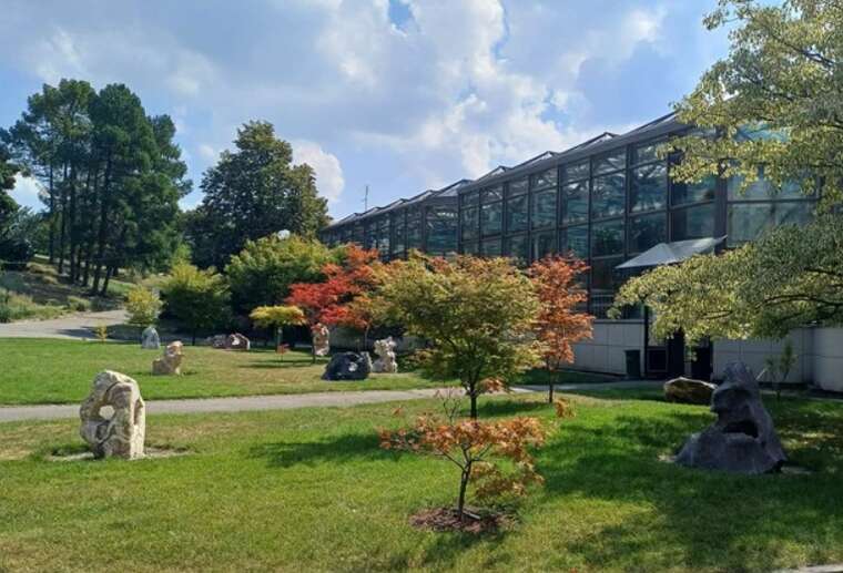 Керівництво ботсаду Гришка обіцяє розірвати договір з інвестором