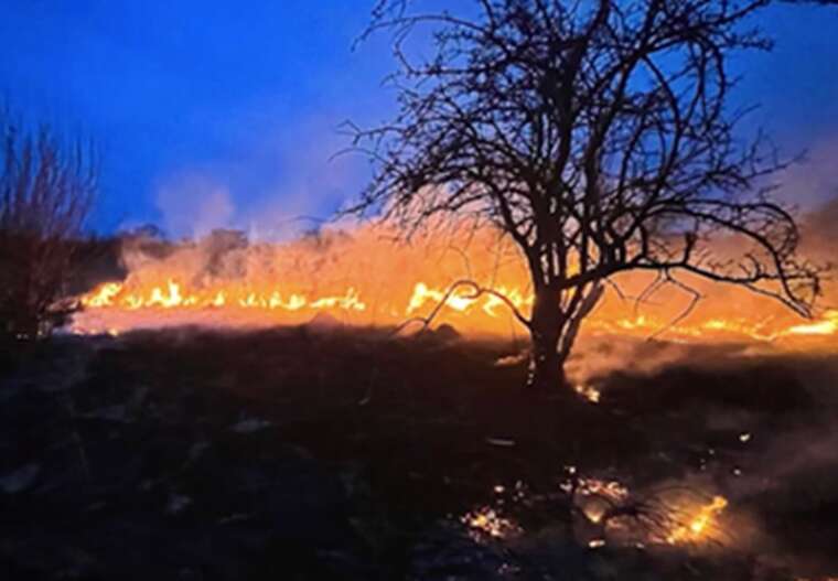 В Черновцах горело два гектара травы