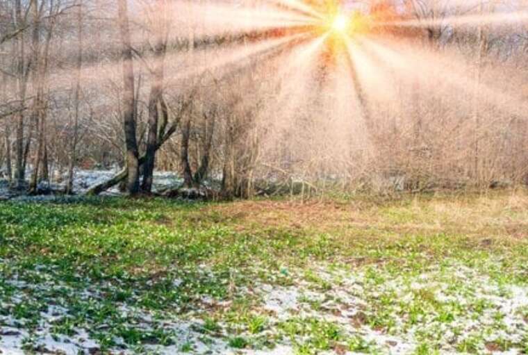 На півдні та заході України наприкінці січня потеплішає до +15 градусів