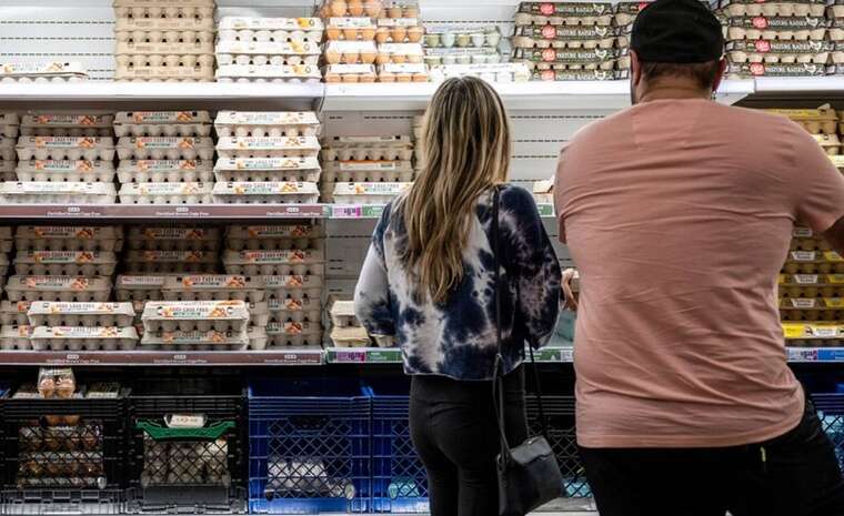 В ряде штатов США возник дефицит яиц