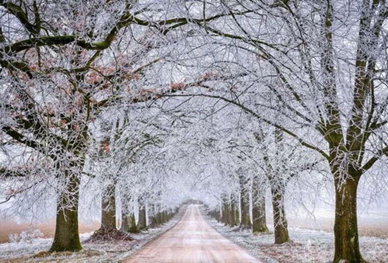 В Укргідрометцентрі розповіли, коли будуть морози в Україні