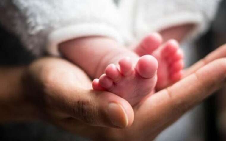 Ministry of Justice: The number of deaths in Ukraine exceeded the number of births by 2.8 times