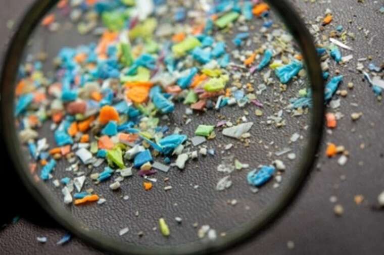 Учёные сообщили, что количество микропластика в мозге человека стремительно растёт