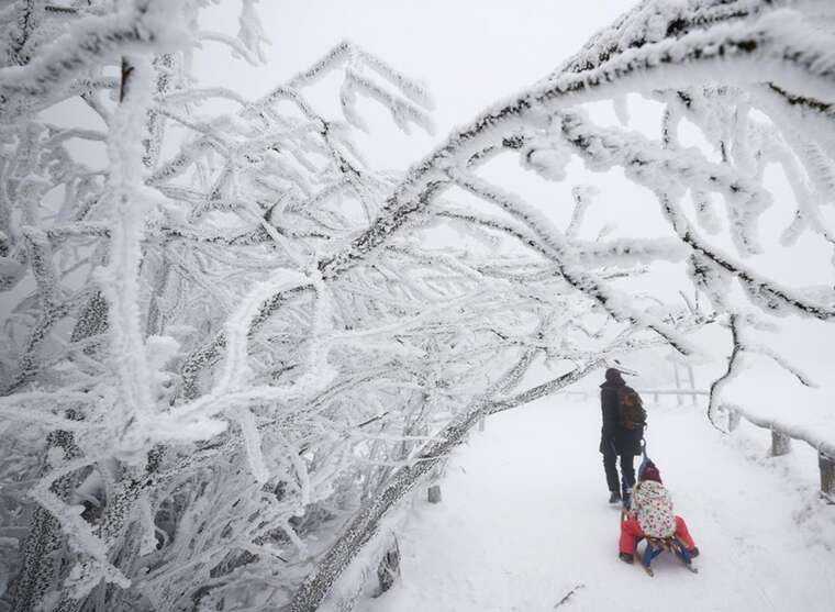 Синоптикиня розповіла, як довго в Україні пануватимуть морози