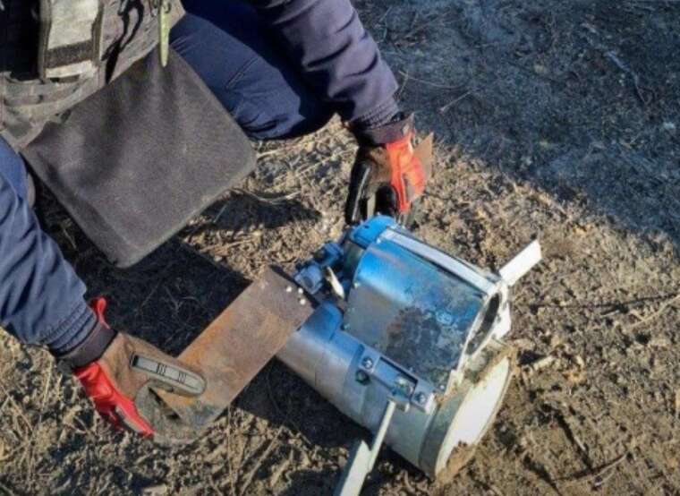 На Київщині у лісосмузі знайшли бойовий елемент касетної бомби