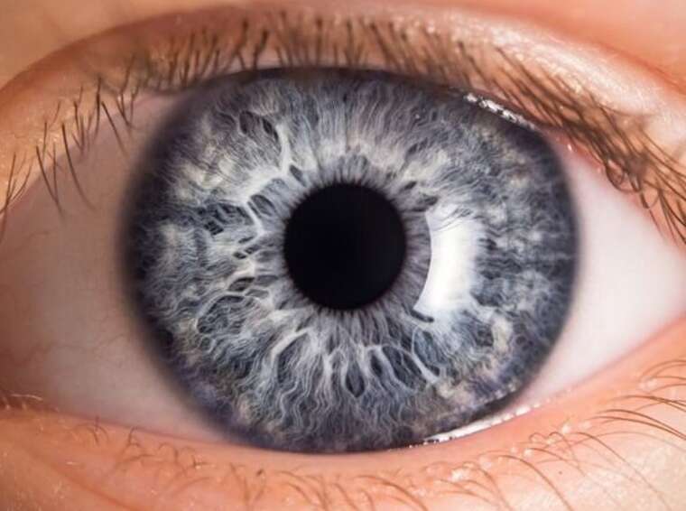 Учёные победили врождённую слепоту