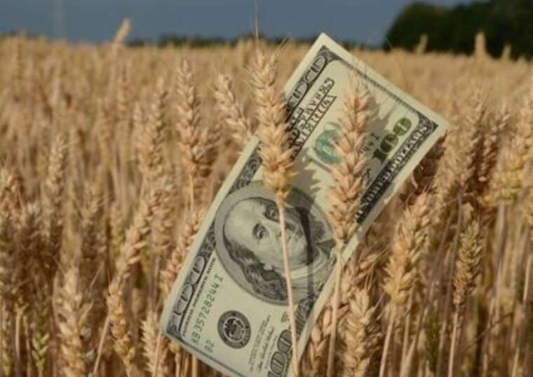 The theft of grain amounting to 23 million hryvnias: the case has been sent to court