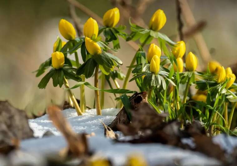 В Україну йде потепління: завтра в регіонах буде до +16°C