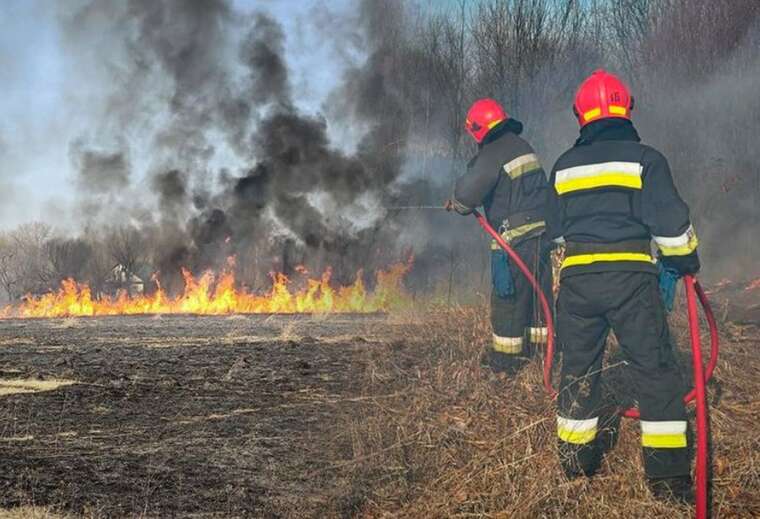 На Чернігівщині під час пожежі сухої трави загинула пенсіонерка