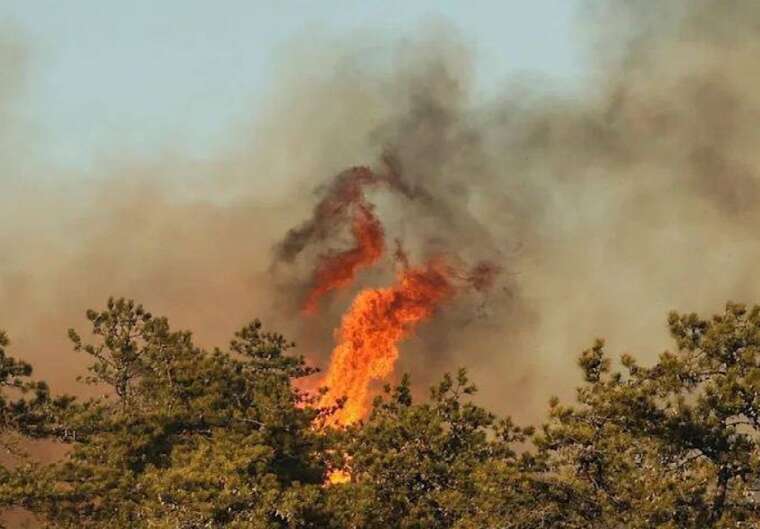 Надзвичайний стан у Нью-Йорку: Лісові пожежі загрожують елітним передмістям міста