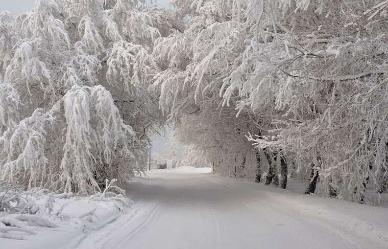 Почему зимы в Украине стали такими теплыми: куда делся снег