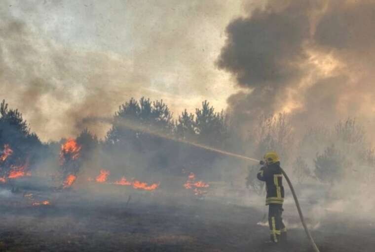В Киевской области спасатели задержали за выходные 24 поджигателей сухостоя