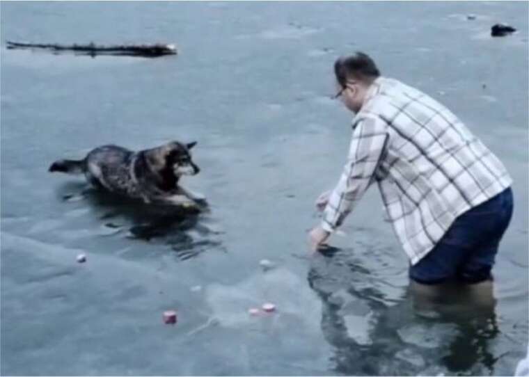 У Тернополі на озері чоловік врятував собаку, який застряг на льоду