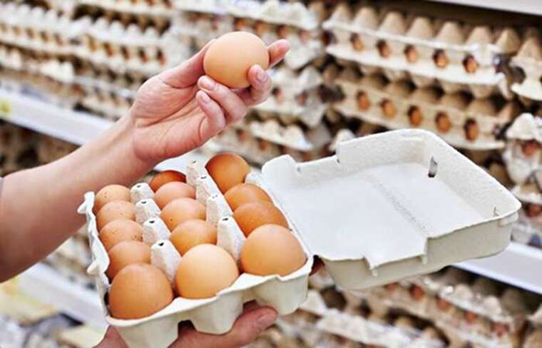 США попросили Данію допомогти з яйцями, - Reuters