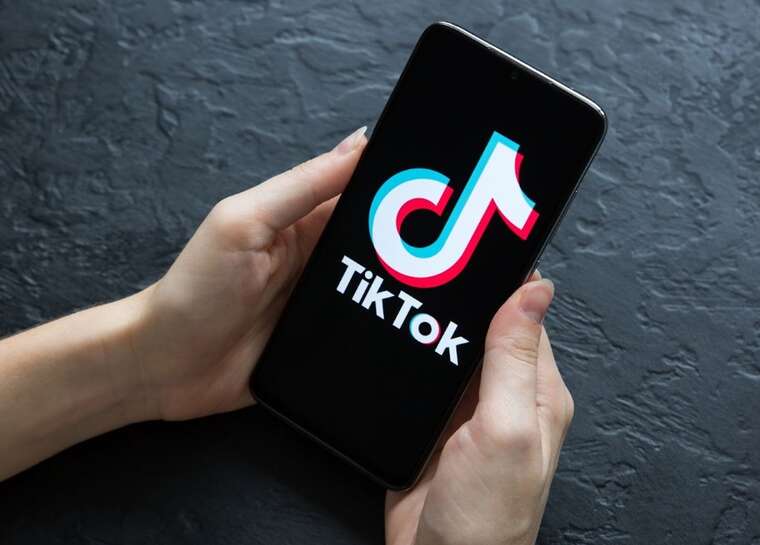  TikTok,   ,     