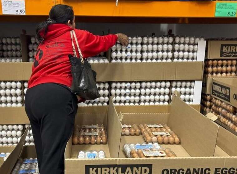 США обратились к Европе из-за дефицита яиц, но получили отказ — Reuters