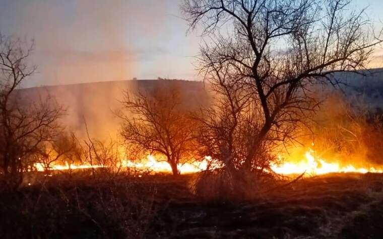 In Odesa region, there are massive fires: dry grass is being set on fire