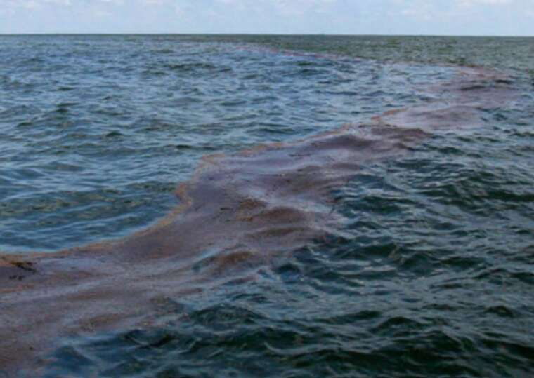 На узбережжі Одеської області виявлено нові ділянки забруднення мазутом