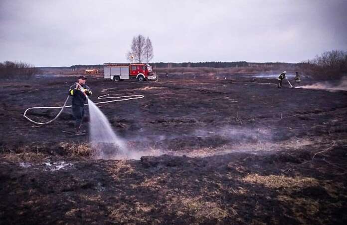 Произошло из-за сжигания сухой травы: В Киевской области горят торфяники