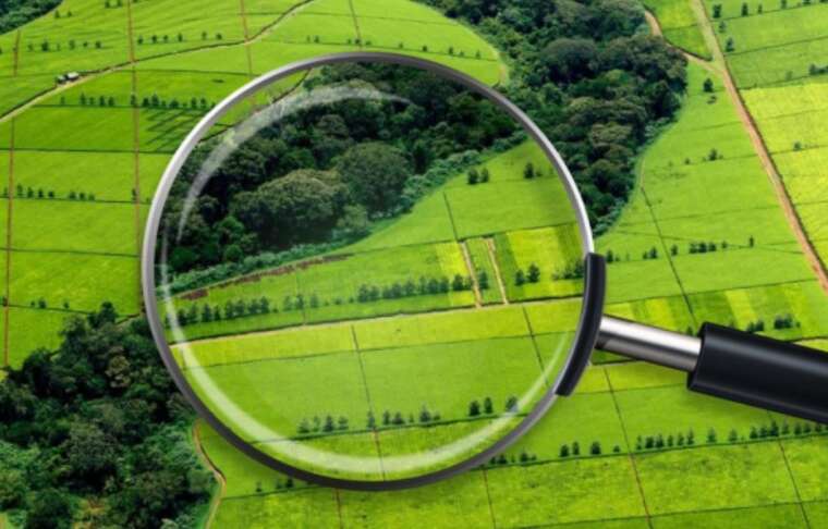 Верховна Рада прийняла законопроєкт про примусове відчуження землі та нерухомості на Закарпатті