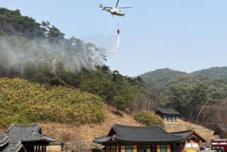 Масштабні лісові пожежі в Південній Кореї: 24 загиблих, десятки постраждалих