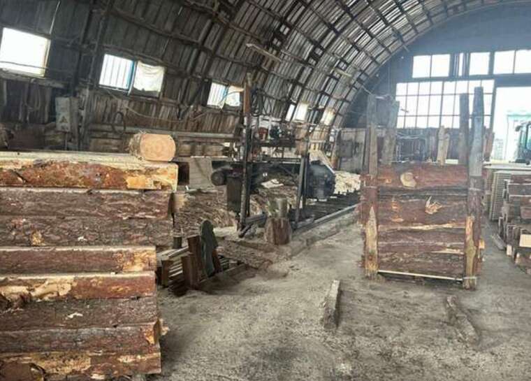 На Волині організатор масштабної вирубки лісу після викриття скоїв самогубство