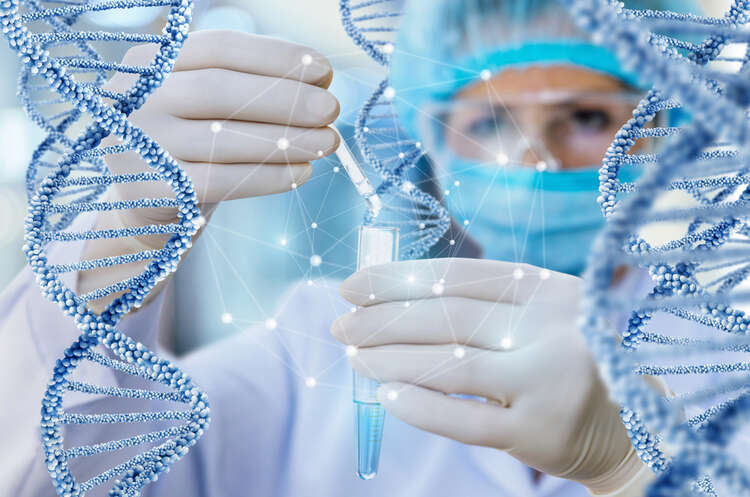 Вчені пропонують вирощувати запасні тіла для медицини