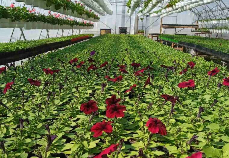  630         ,  Prozorro