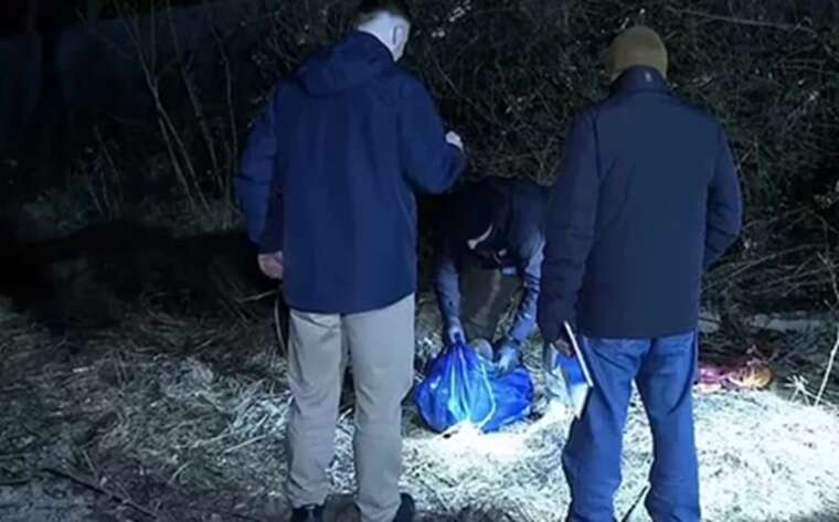 Daily Mail: У Німеччині поліція п’ять годин розслідувала «вбивство» секс-ляльки