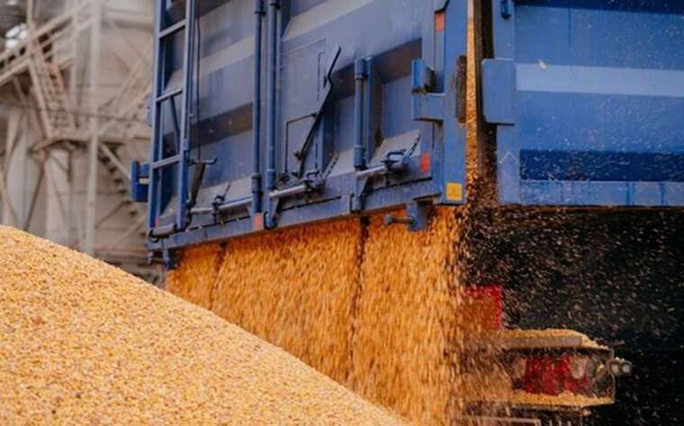 Trump tariffs may help Ukrainian corn producers