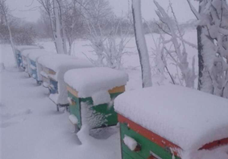 Україну засипало снігом: у мережі з’явилися відео та фото