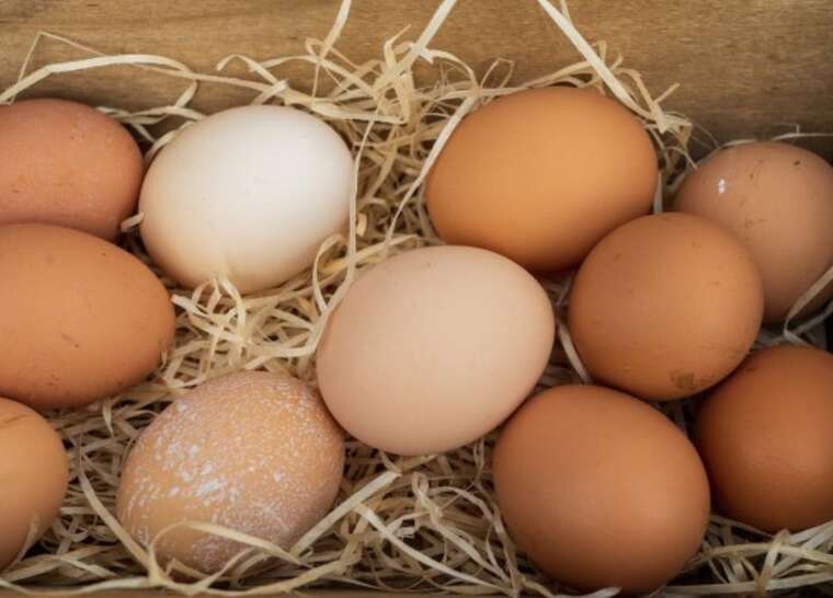 Ціни на курячі яйця почали знижуватися: десяток подешевшав на 5,2%