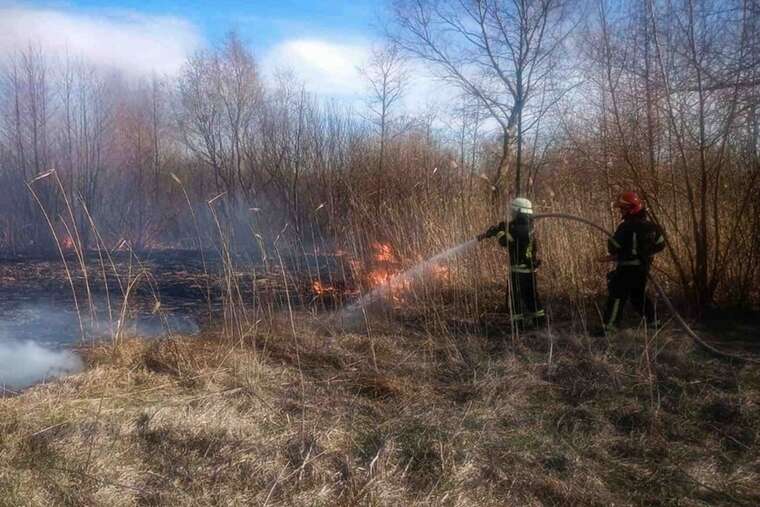 Двоє жителів Київської області загинули через спалювання сухостою