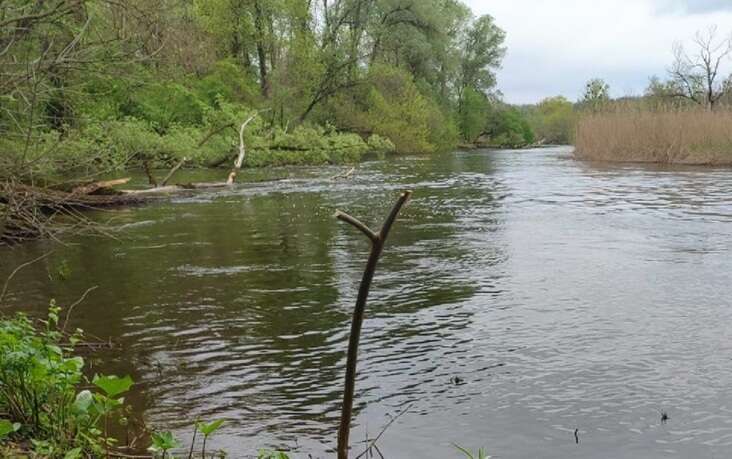 На Полтавщині у водоймі знайшли тіло п’ятирічного хлопчика