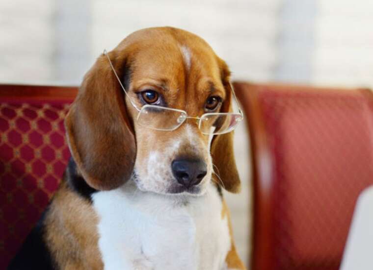 ,  쳺 :   ̳  ز ""  