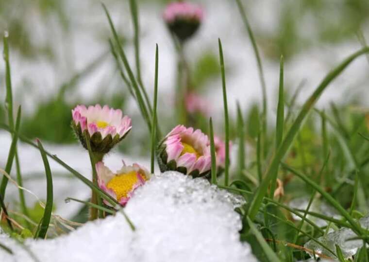 У Харкові та Сумах бачили сніг