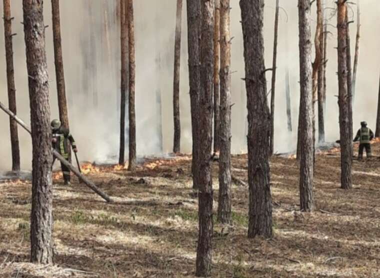 У Харківській області через російські артобстріли сталися масштабні лісові пожежі