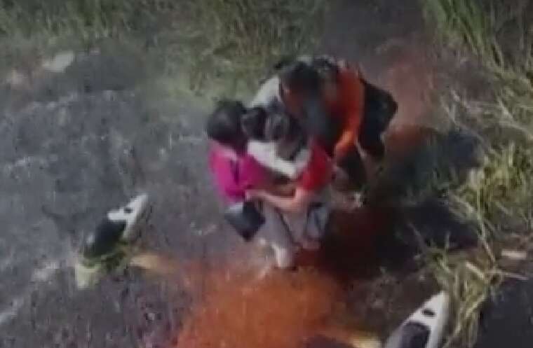 У Болівії літак здійснив аварійну посадку в болоті з алігаторами