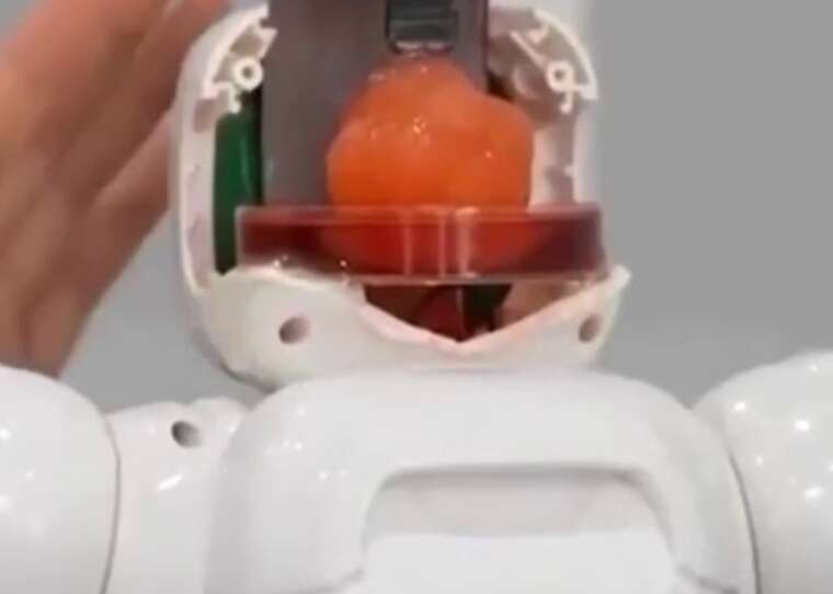 Мини-мозг на чипе: ученые создали цереброид, способный учиться и управлять роботом