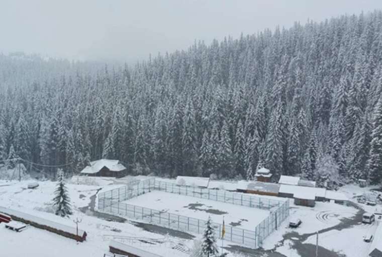 У Карпатах випав сніг: по дорозі до Буковелю зафіксували зимові пейзажі